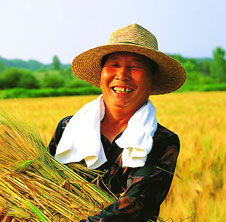 用吉姆克秸稈顆粒機，讓廢秸稈變大財富!
