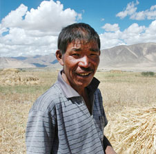 吉姆克飼料顆粒機產(chǎn)量大！制粒好！效率高！